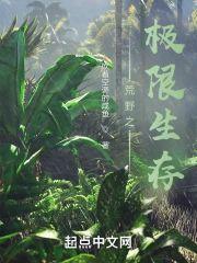 荒野之极限生存封面