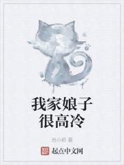 我家娘子很高冷封面