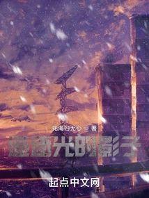追逐光的影子封面
