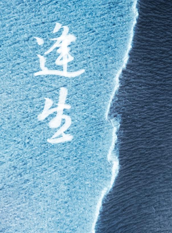 逢生封面
