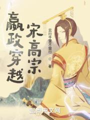嬴政穿越宋高宗封面