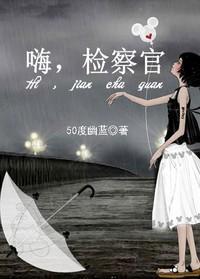 嗨，检察官封面