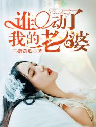 谁动了我的老婆封面