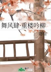 舞风肆·重楼吟柳封面