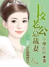 上校老公总裁妻封面