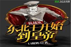 抗战从东北王开始到皇帝封面