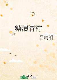 糖渍青柠封面
