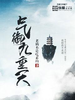 气御九重天封面