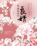 良婿封面