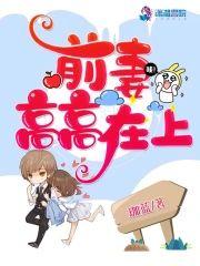 前妻高高在上封面