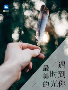 最美的时光遇到你封面