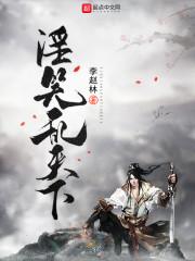 淫笑乱天下封面