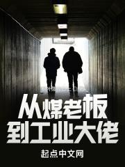 从煤老板到工业大佬封面