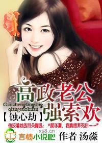高政老公强索欢封面