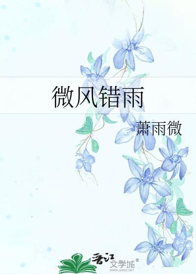 微风错雨封面