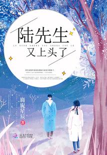 陆先生又上头了封面