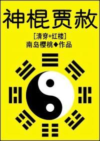 神棍贾赦封面
