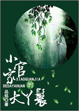 小官家的大丫鬟封面