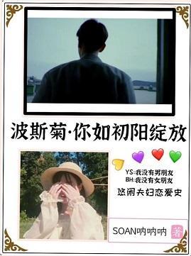 波斯菊封面