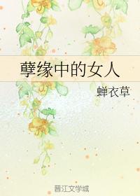 孽缘中的女人封面