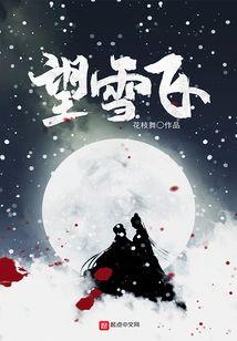 望雪飞封面