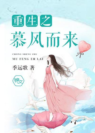 重生之慕风而来封面