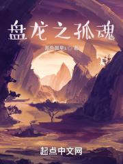 盘龙之孤魂封面