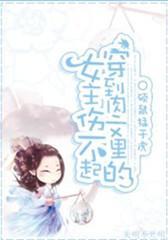 穿到肉文裏的女主伤不起封面