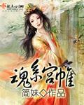 魂系宫帷封面