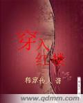 穿入红楼封面