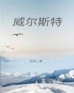 威尔斯特封面