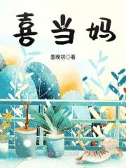 喜当妈男穿女酒翎封面