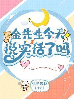 金先生今天说实话了吗封面