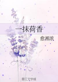 一抹荷香封面