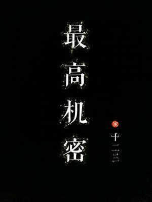 最高机密封面