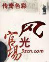 官场风光封面