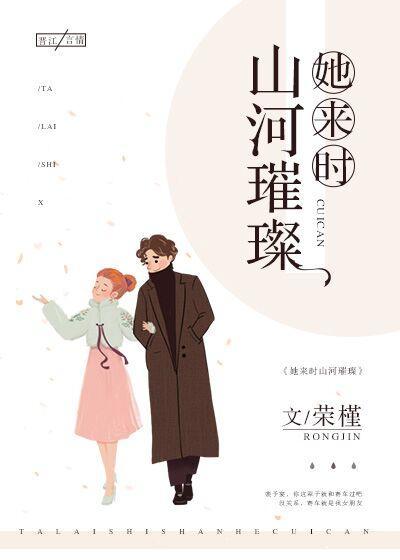 她来时山河璀璨封面