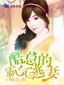 酷总的霸气逃妻封面