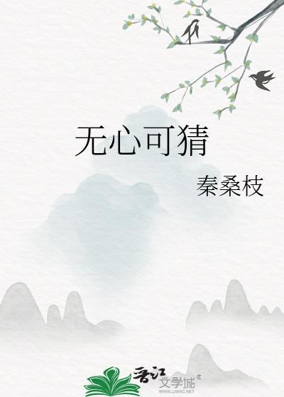 无心可猜封面