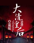 大清皇后封面