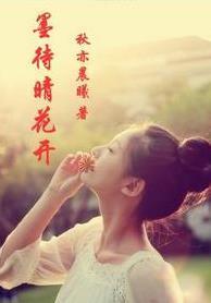 墨待晴花开封面