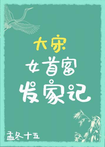 大宋女首富发家记封面