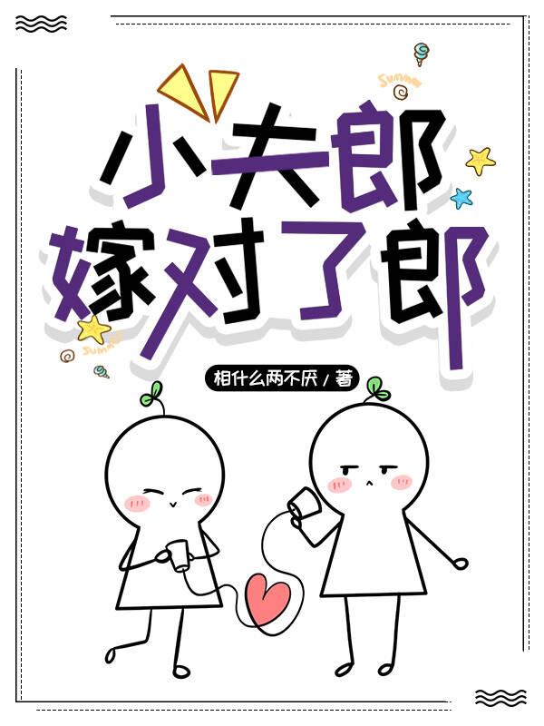 小夫郎嫁对了郎封面