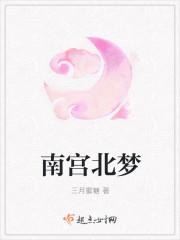 南宫北梦封面