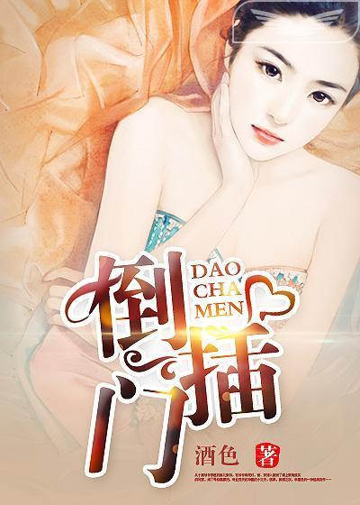 倒插门封面
