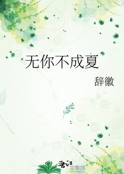 无你不成夏封面
