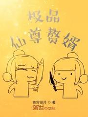 极品仙尊赘婿封面