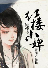 红楼小婢封面