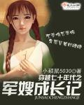 巧媳妇好日子封面