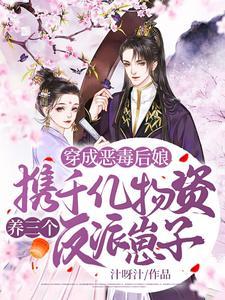 穿成恶毒后娘，携千亿物资养三个反派崽子封面